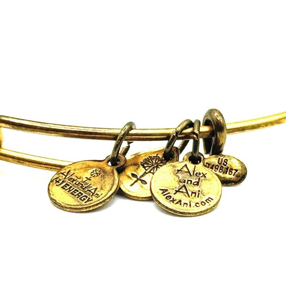 ALEX AND ANI Adjustable Copper Atlantaean Bracelet in Rafaelian Gold - Picture 4 of 4